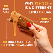 High Protein Coffee Cashew Crunch PROTEIN+ Bar (12 Count)